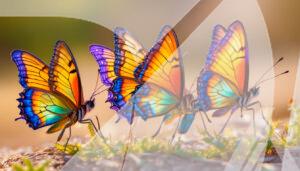 Mariposas Tropicales en su Hábitat Natural